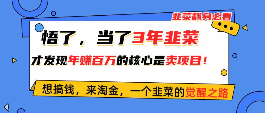 悟了，当了3年韭菜，才发现网赚圈年赚100万的核心是卖项目，含泪分享！-晴沐网创  