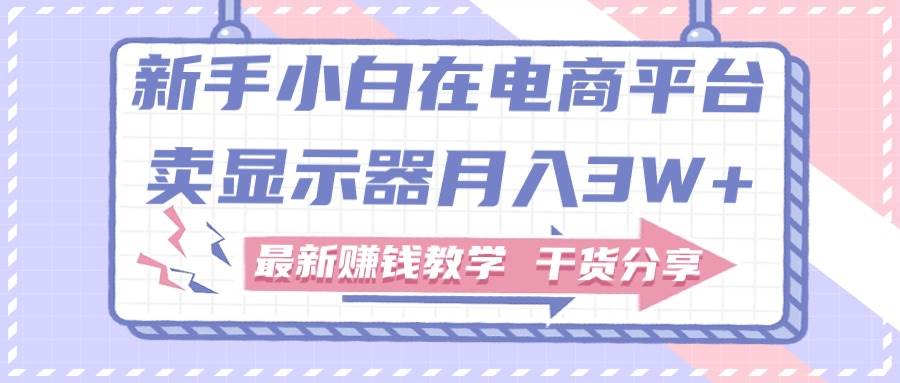 新手小白如何做到在电商平台卖显示器月入3W+，最新赚钱教学干货分享-晴沐网创  