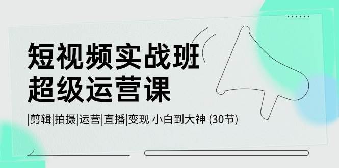 短视频实战班-超级运营课，|剪辑|拍摄|运营|直播|变现 小白到大神 (30节)-晴沐网创  