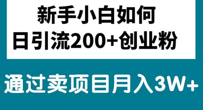 新手小白日引流200+创业粉,通过卖项目月入3W+-晴沐网创  