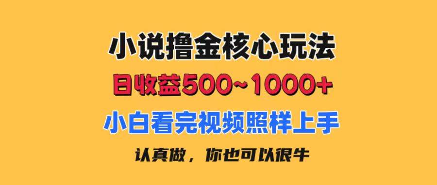 小说撸金核心玩法，日收益500-1000+，小白看完照样上手，0成本有手就行-晴沐网创  