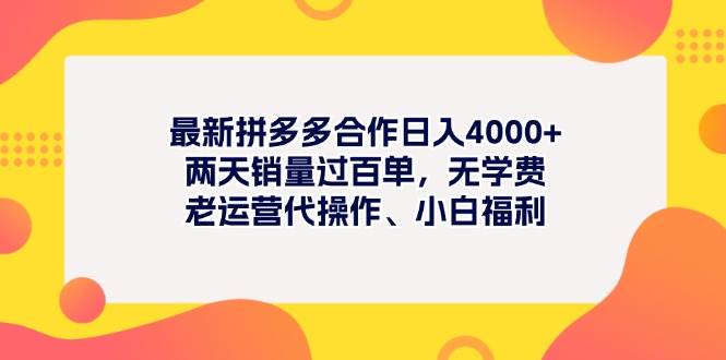 最新拼多多项目日入4000+两天销量过百单，无学费、老运营代操作、小白福利-晴沐网创  