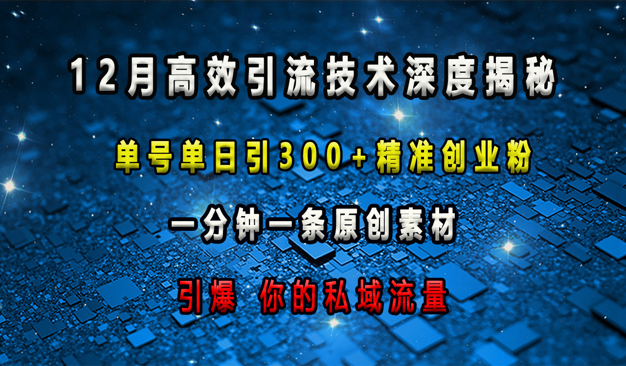 12月高效引流技术深度揭秘 ，单号单日引300+精准创业粉，一分钟一条原创素材，引爆你的私域流量-晴沐网创  