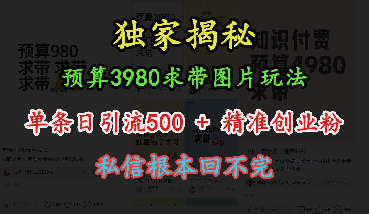 “小红书”预算3980求带 图片玩法，单条日引流500+精准创业粉，私信根本回不完-晴沐网创  