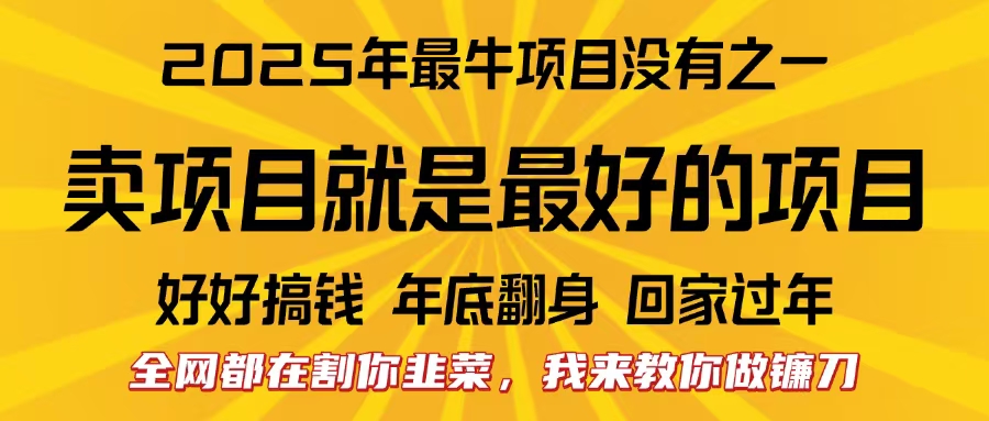 全网都在割你韭菜，我来教你做镰刀。卖项目就是最好的项目，2025年最牛互联网项目-晴沐网创  