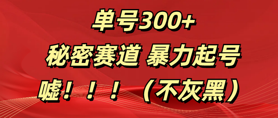 单号300+  秘密赛道 暴力起号  （不灰黑）-晴沐网创  